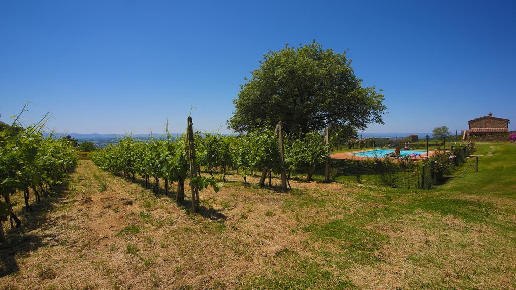 Villa Tenuta Angelici Winery Casa Contea With Pool And Panoramic Pool Cortona à Terontola Chambre photo